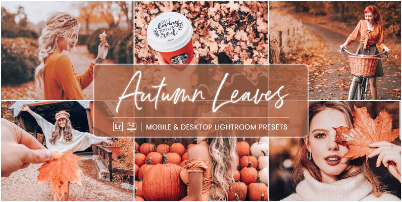 Autumn Leaves   Mobile   Desktop Lightroom Presets