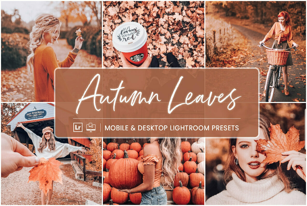 Autumn Leaves Mobile Desktop Lightroom Presets Autumn Leaves Mobile Desktop Lightroom Presets