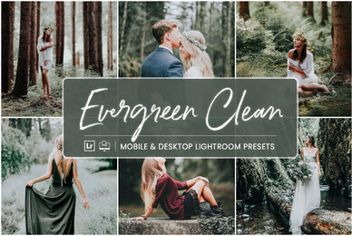 Evergreen Clean   Mobile  Desktop Lightroom Presets
