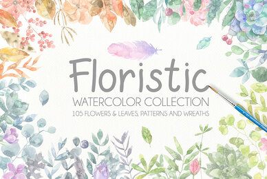 Floristic Watercolor Collection