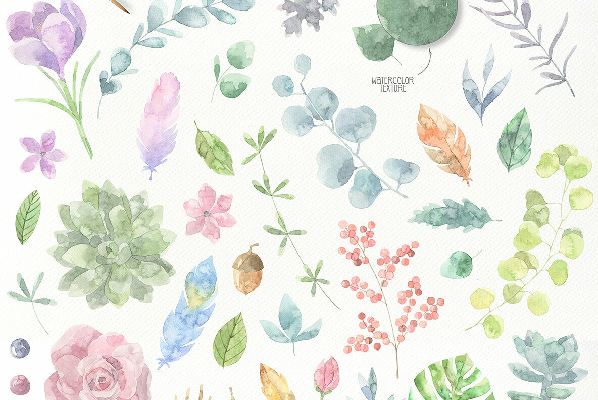 Floristic Watercolor Collection Floristic Watercolor Collection