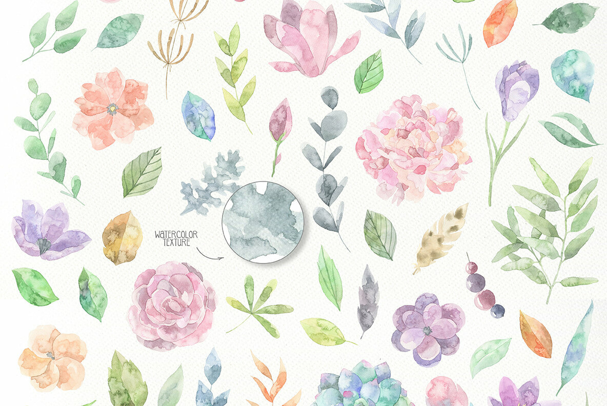 Floristic Watercolor Collection Floristic Watercolor Collection