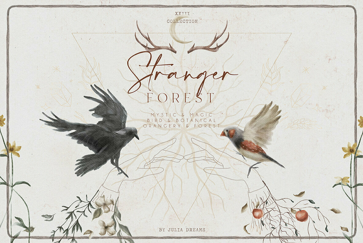 Stranger Forest Collection Stranger Forest Collection