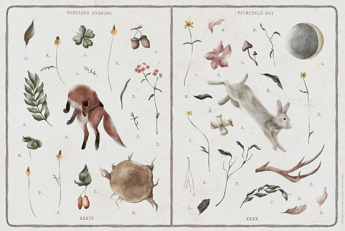 Stranger Forest Collection Stranger Forest Collection