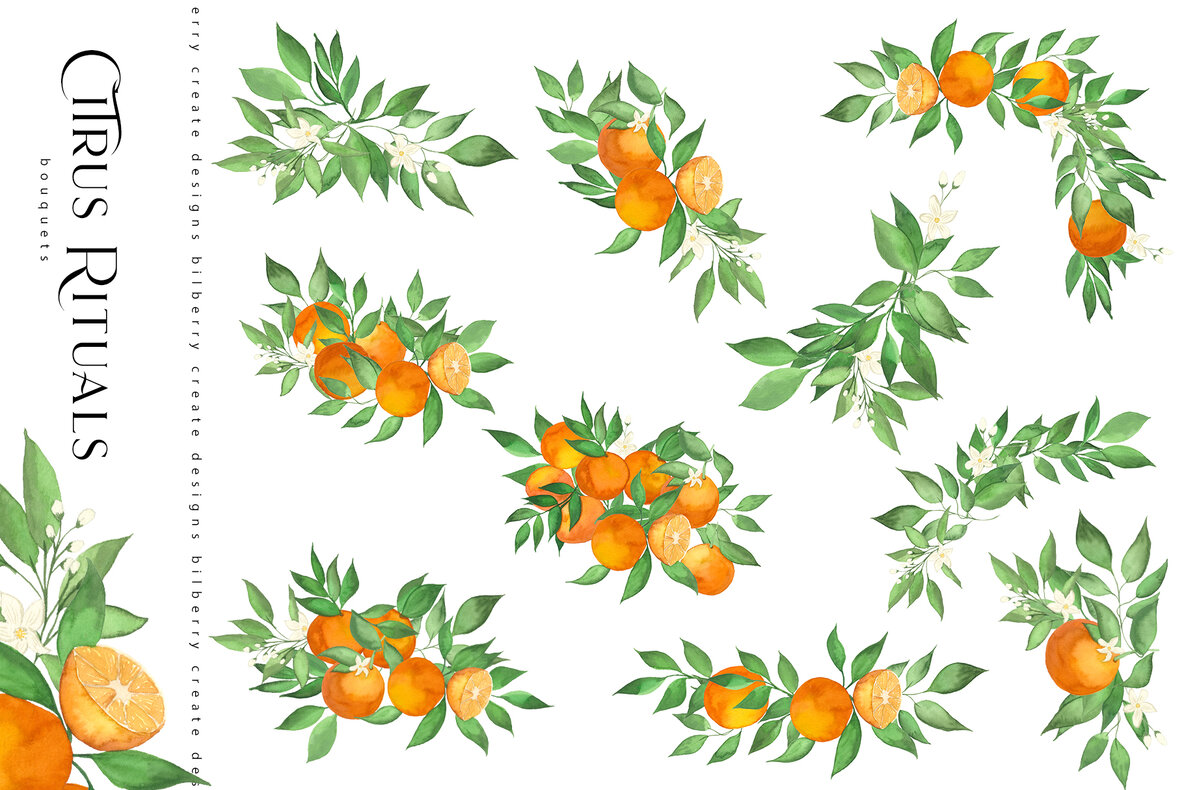 Citrus Rituals 10