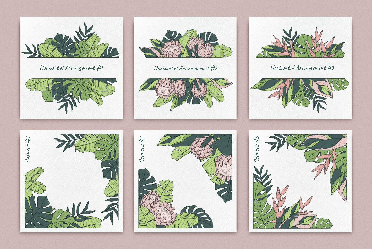 Jungle Story Jungle Story