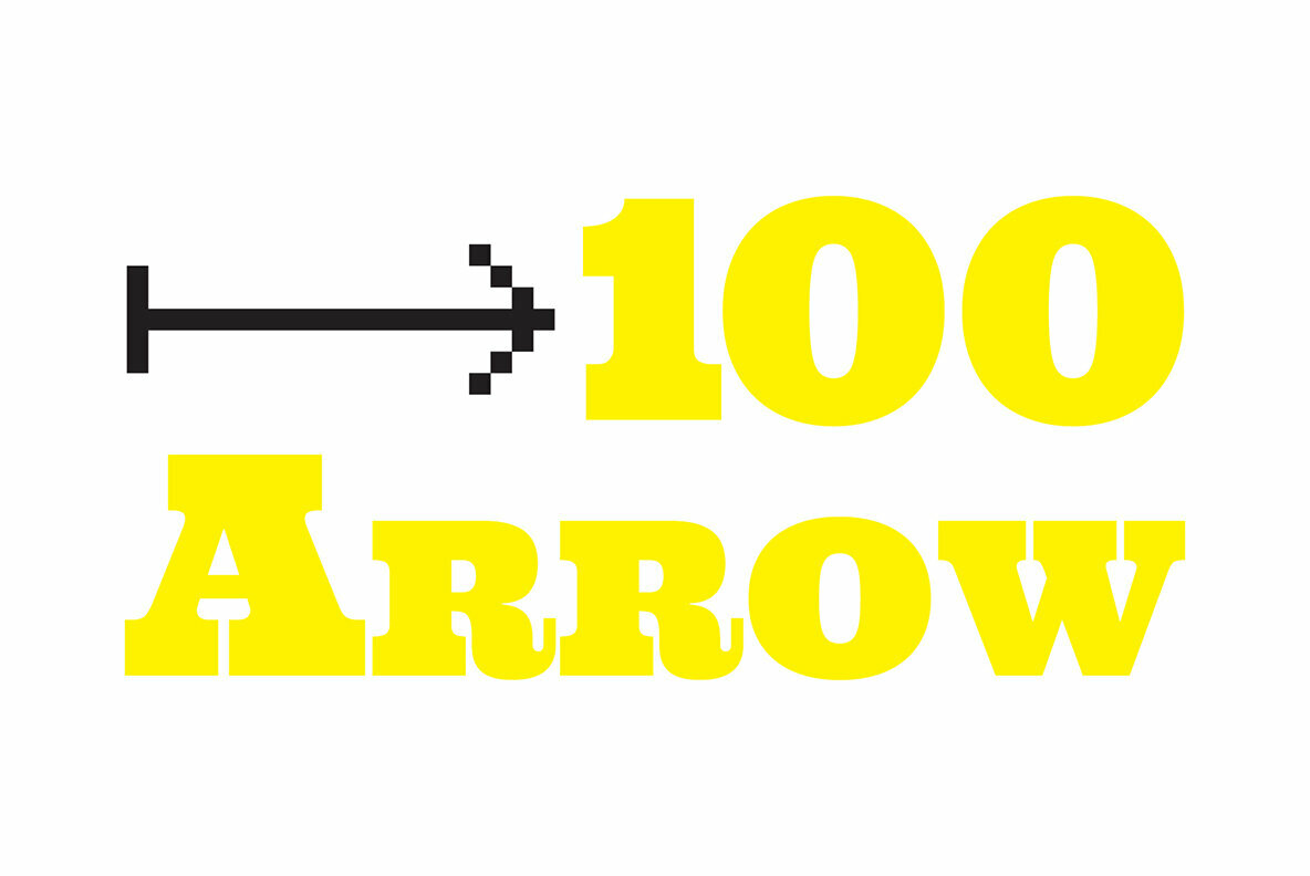100 Arrows Set 100 Arrows Set