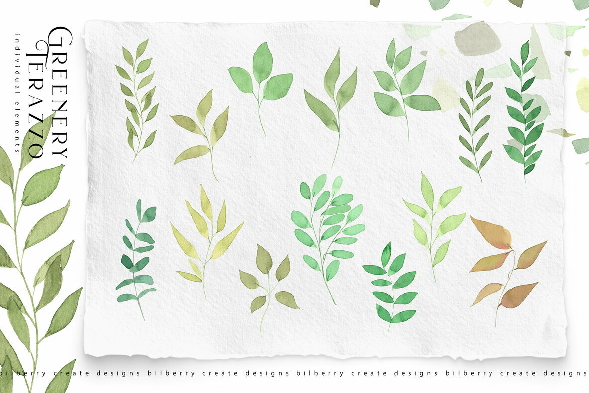 Greenery Terrazzo Greenery Terrazzo