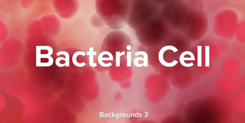 Bacteria Cell Backgrounds 3