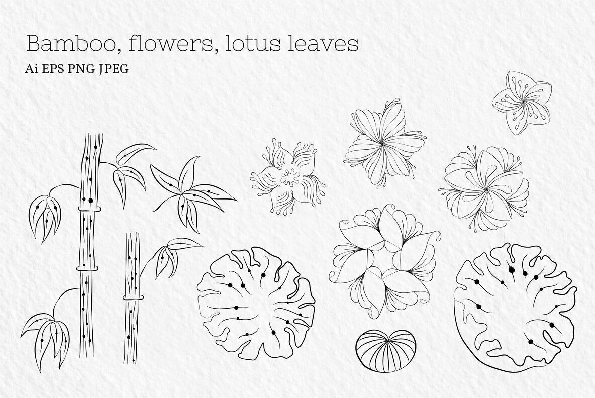 Zenart Linear Japanese Collection 11