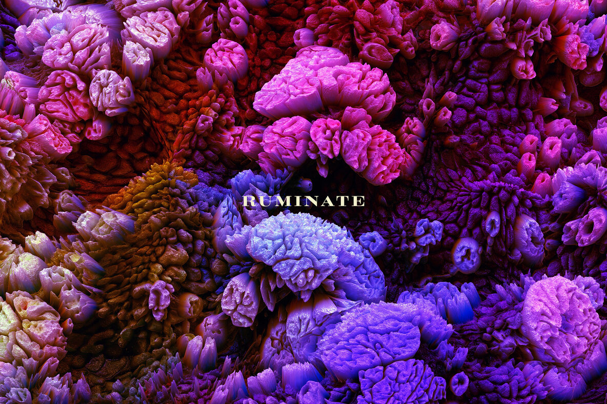 Ruminate     Experimental 3D Paint Textures 12