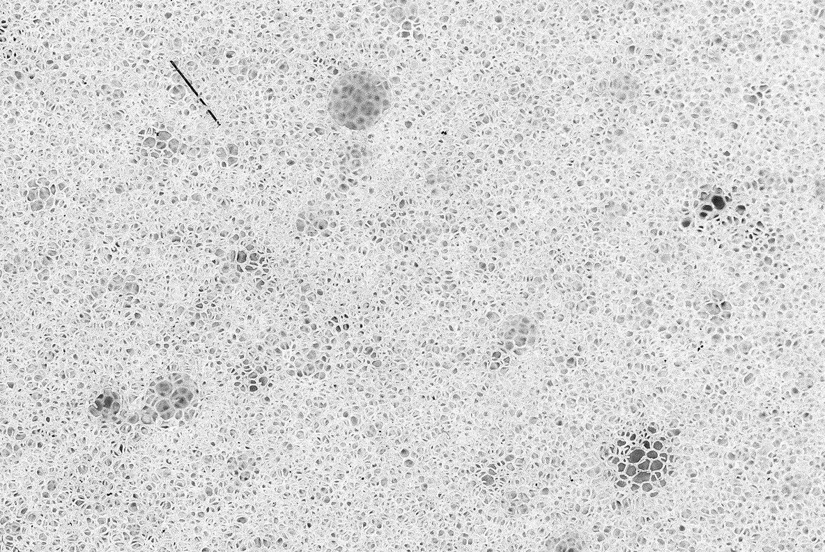 PQ Fabric Texture Kit 10