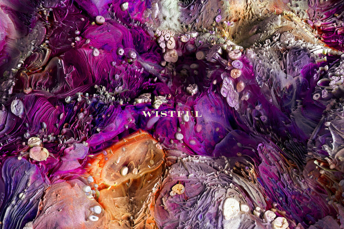 Wistful     Experimental 3D Paint Textures 11