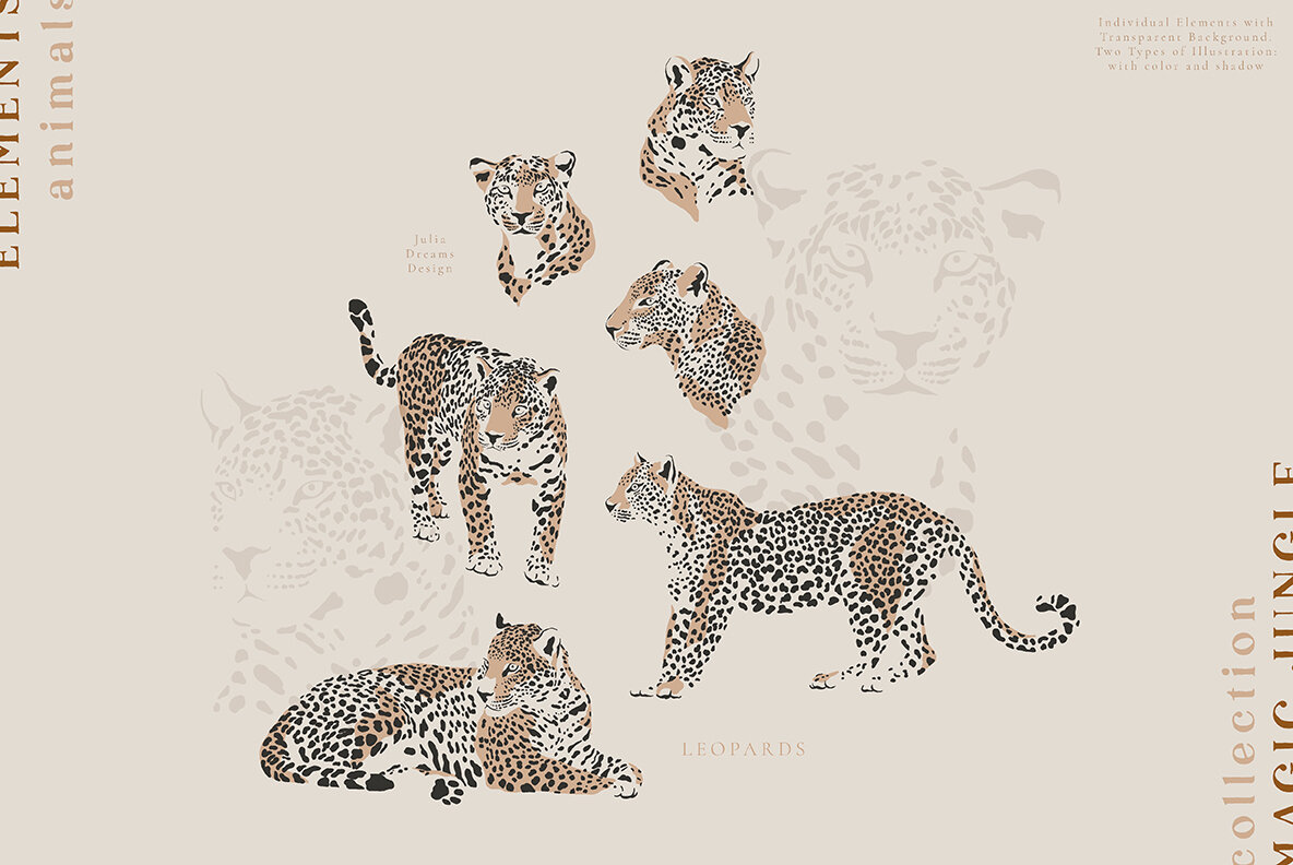 Magic Jungle Collection 6