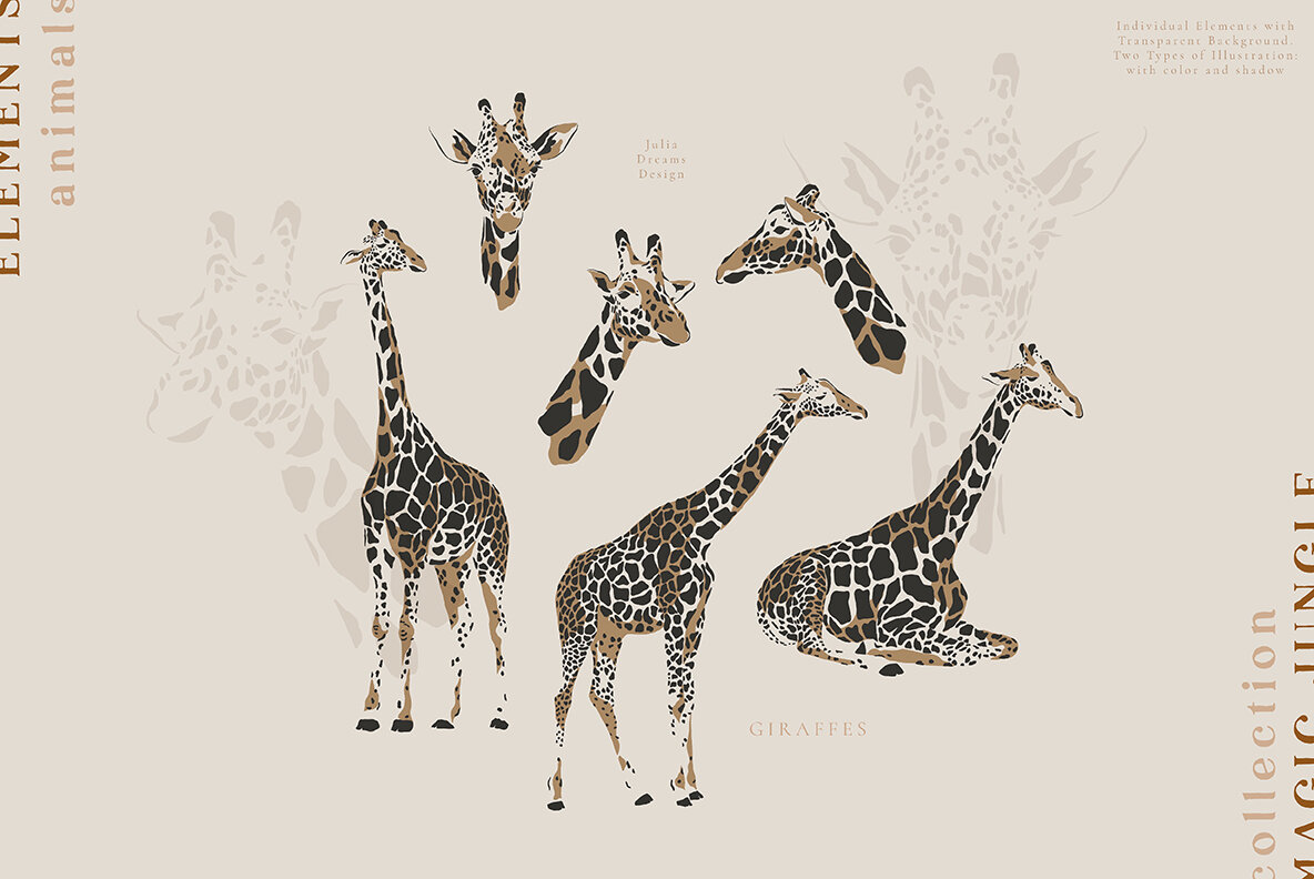 Magic Jungle Collection 8