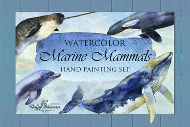 Marine Mammals Watercolor Set
