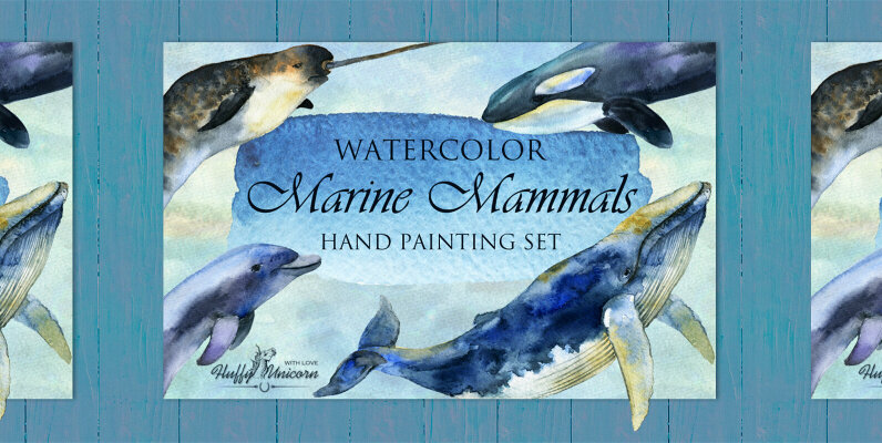 Marine Mammals Watercolor Set