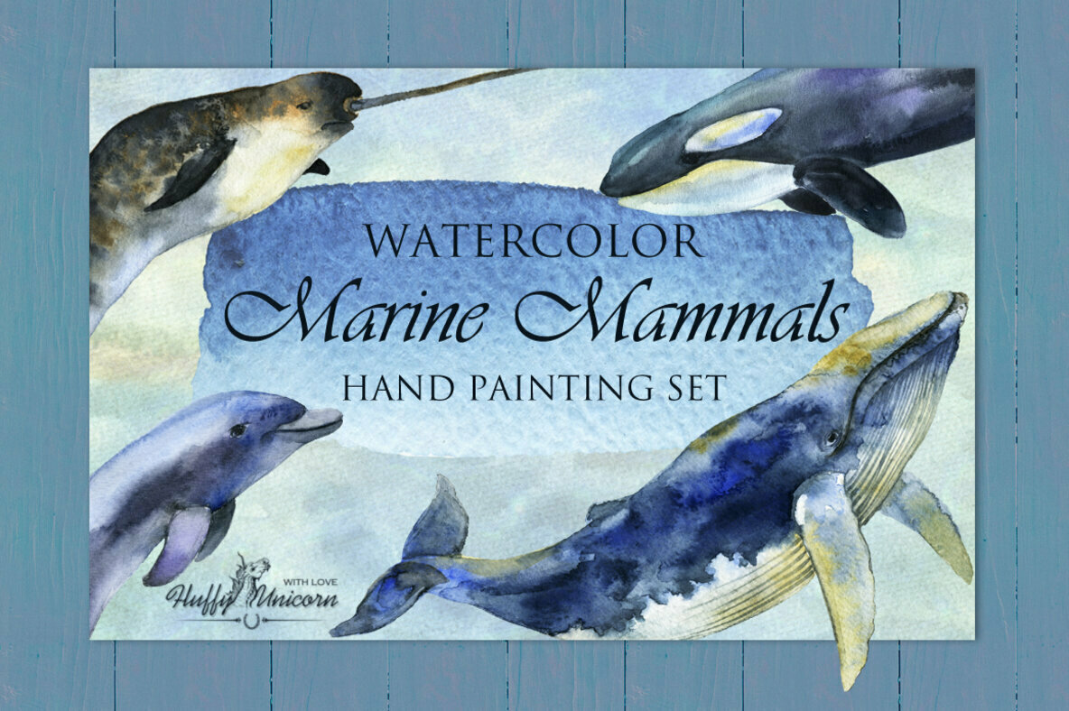 Marine Mammals Watercolor Set Marine Mammals Watercolor Set