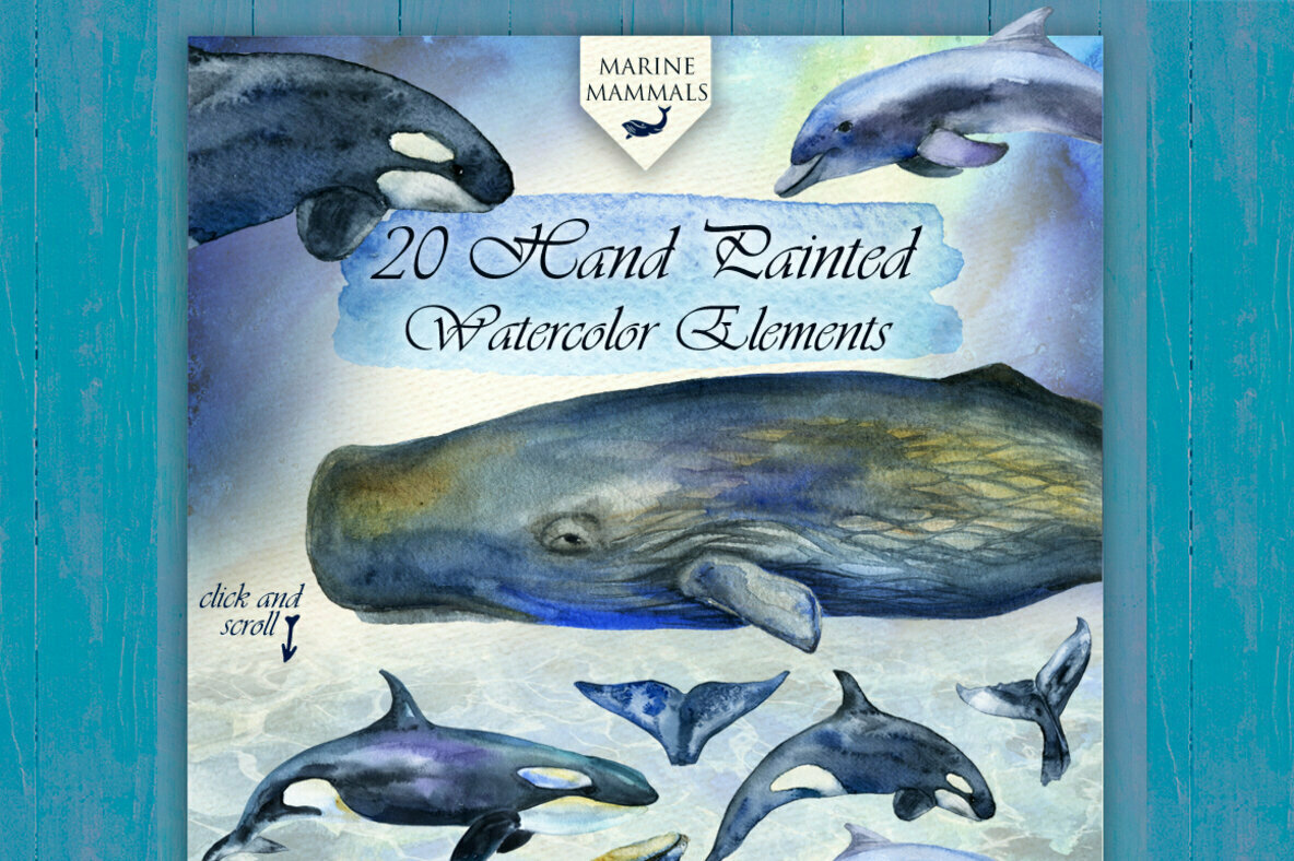 Marine Mammals Watercolor Set Marine Mammals Watercolor Set
