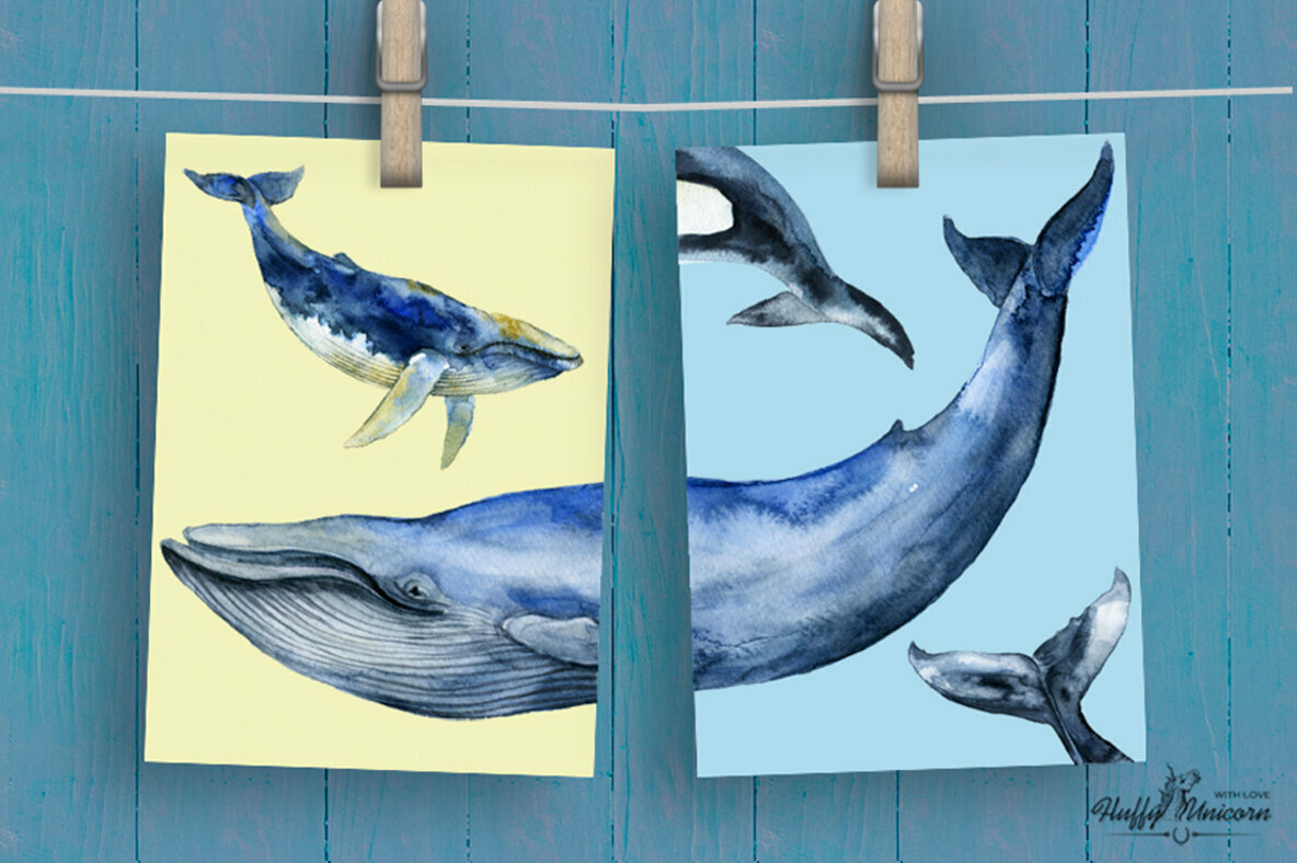 Marine Mammals Watercolor Set Marine Mammals Watercolor Set