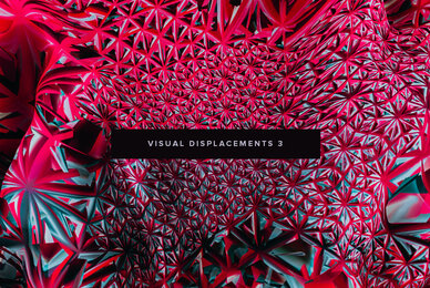 Visual Displacements 3