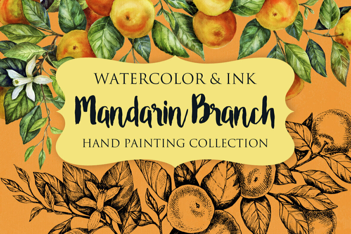 Mandarin Branch Watercolor   Ink 1
