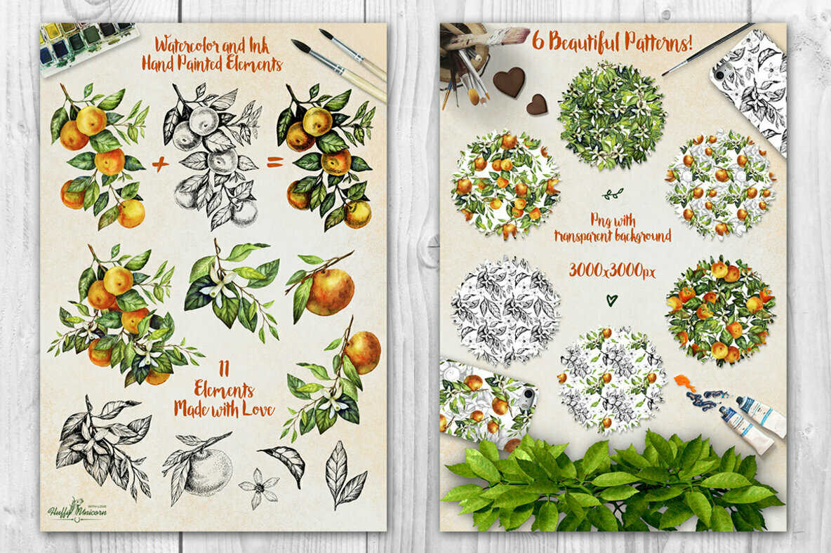 Mandarin Branch Watercolor   Ink 2