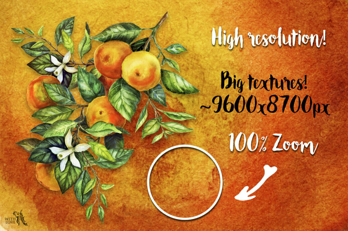 Mandarin Branch Watercolor   Ink 3