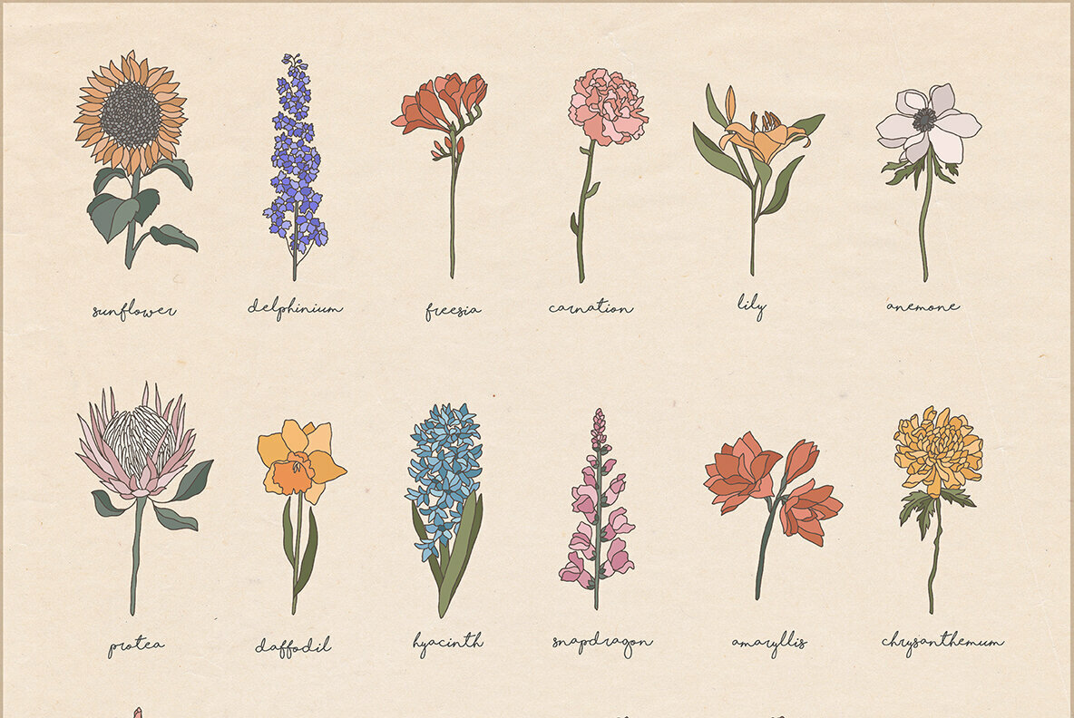 Unique Botanic Collection 4