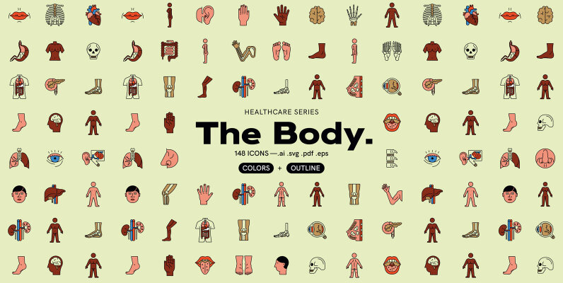 The Body   Healthcare Icons