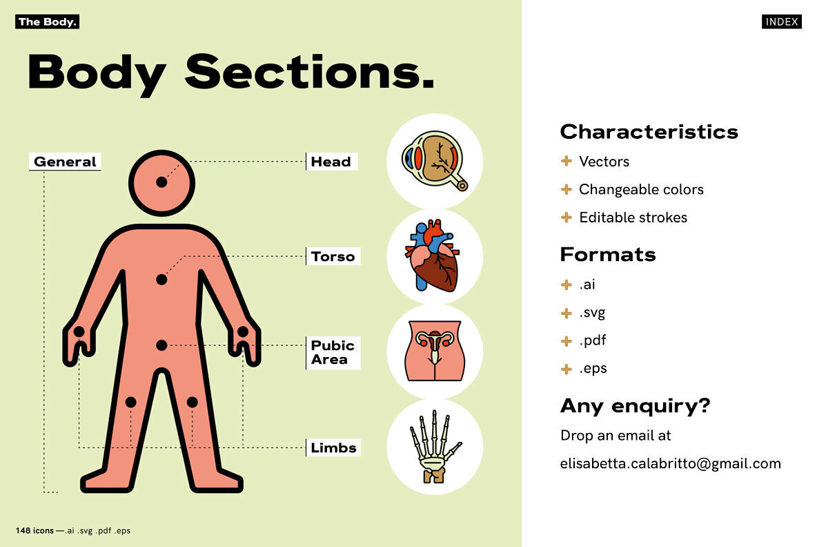 The Body   Healthcare Icons 2