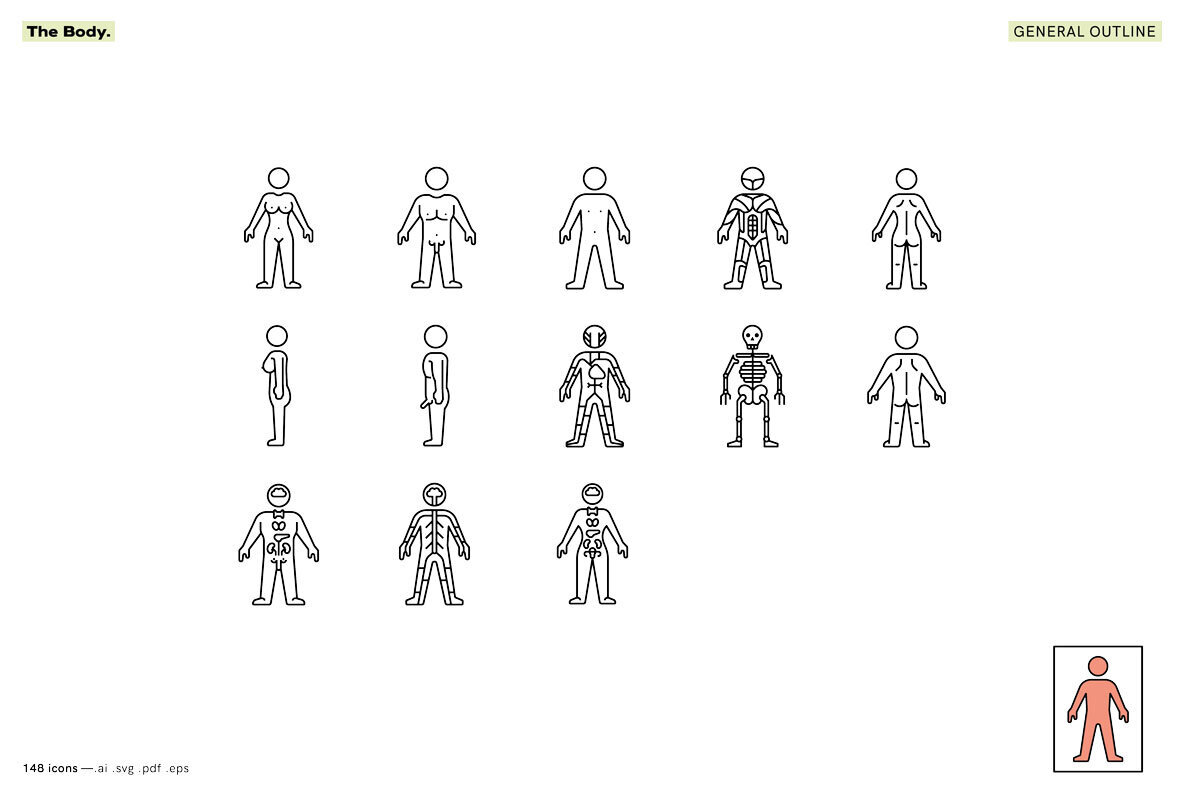 The Body   Healthcare Icons 3