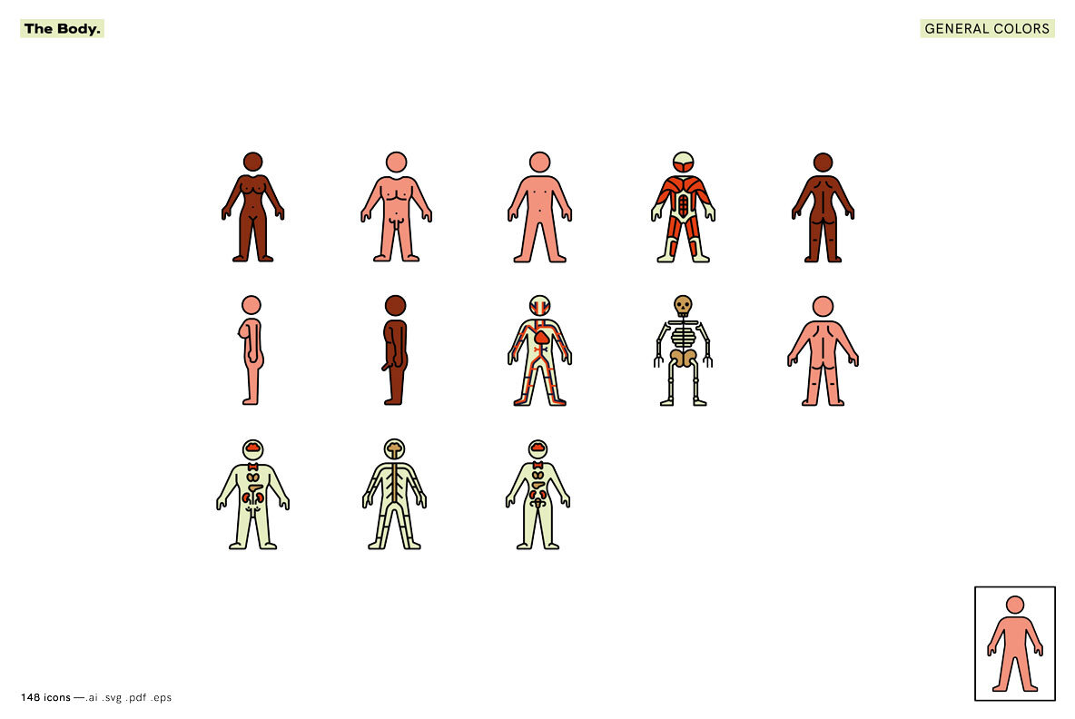 The Body   Healthcare Icons 4