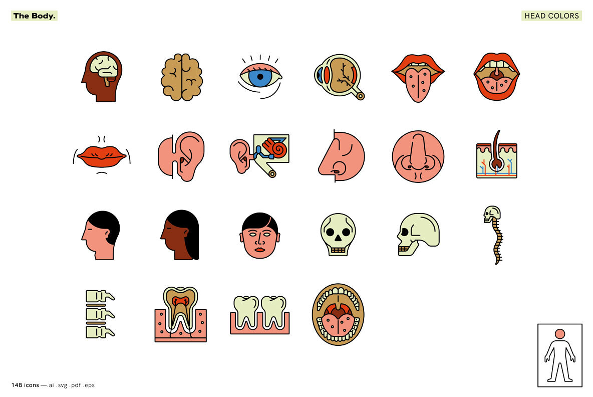 The Body   Healthcare Icons 6