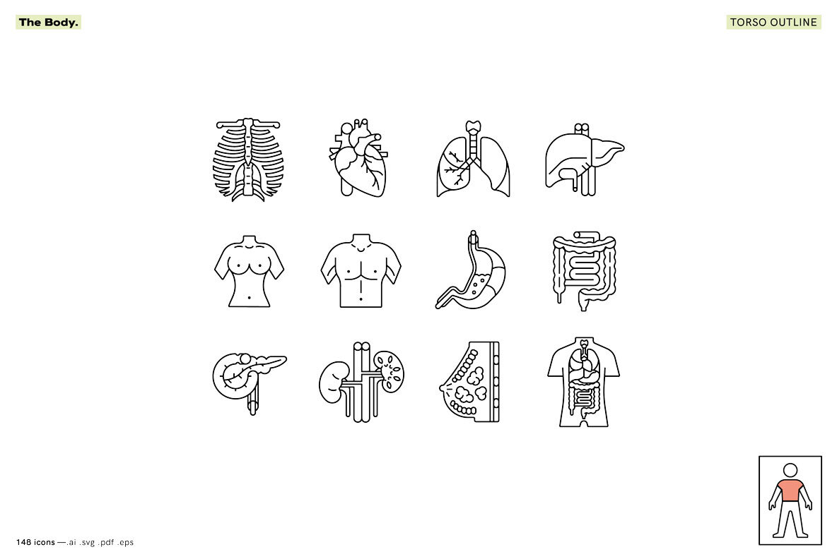 The Body   Healthcare Icons 8