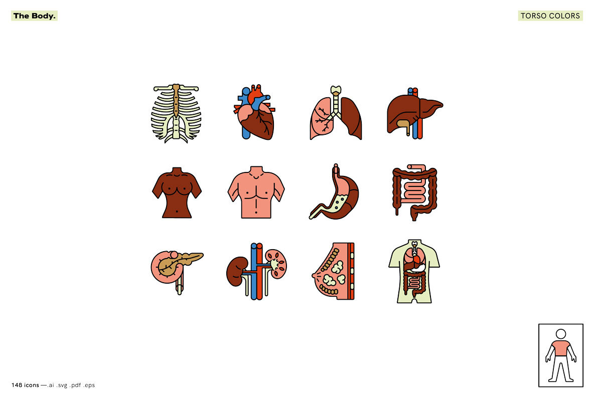 The Body   Healthcare Icons 9