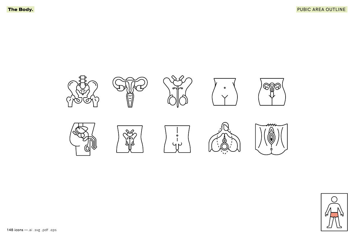 The Body   Healthcare Icons 10