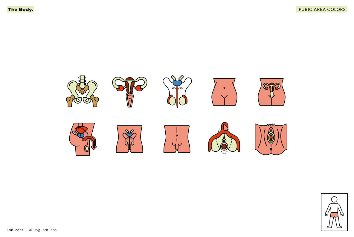 The Body   Healthcare Icons 11