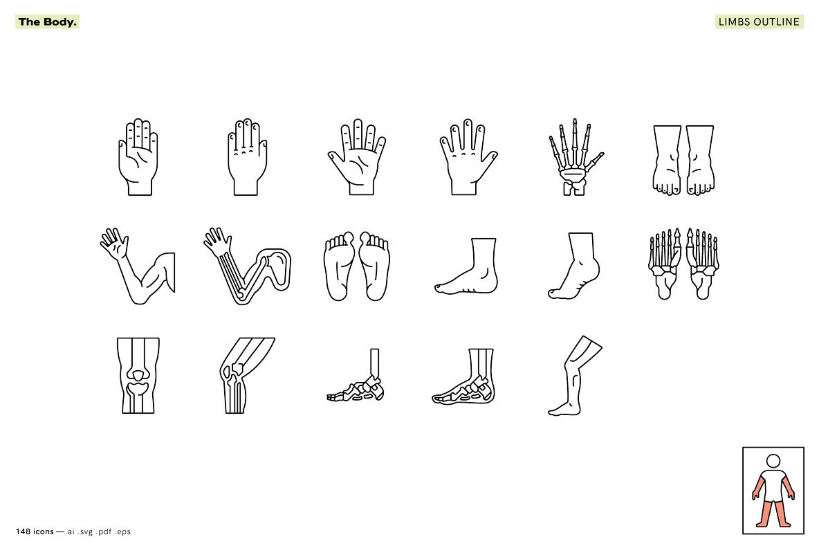 The Body   Healthcare Icons 12