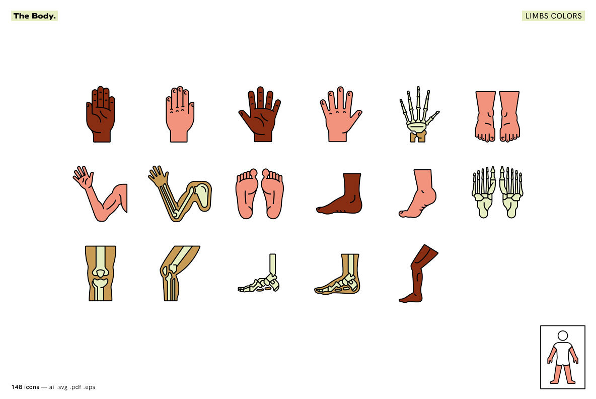 The Body   Healthcare Icons 13