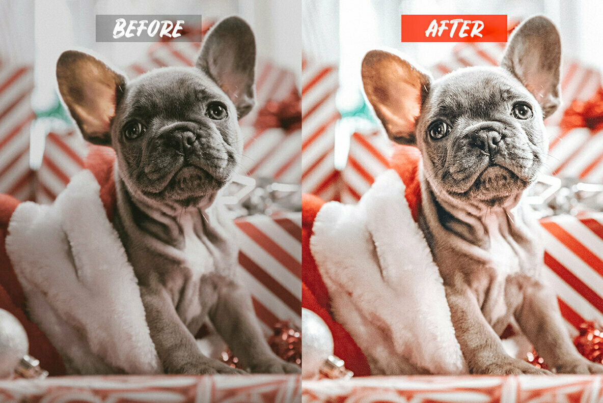 Celebration Lightroom Presets Celebration Lightroom Presets