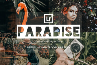 Paradise   Lightroom Presets