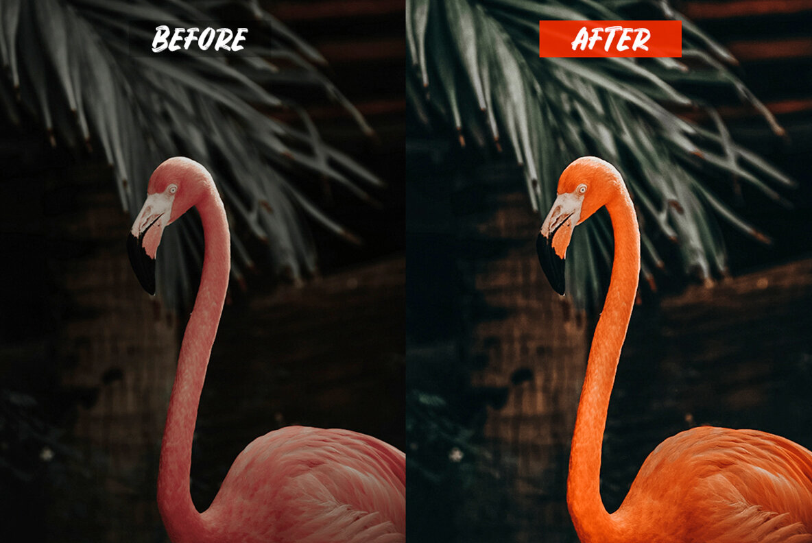 Paradise Lightroom Presets Paradise Lightroom Presets