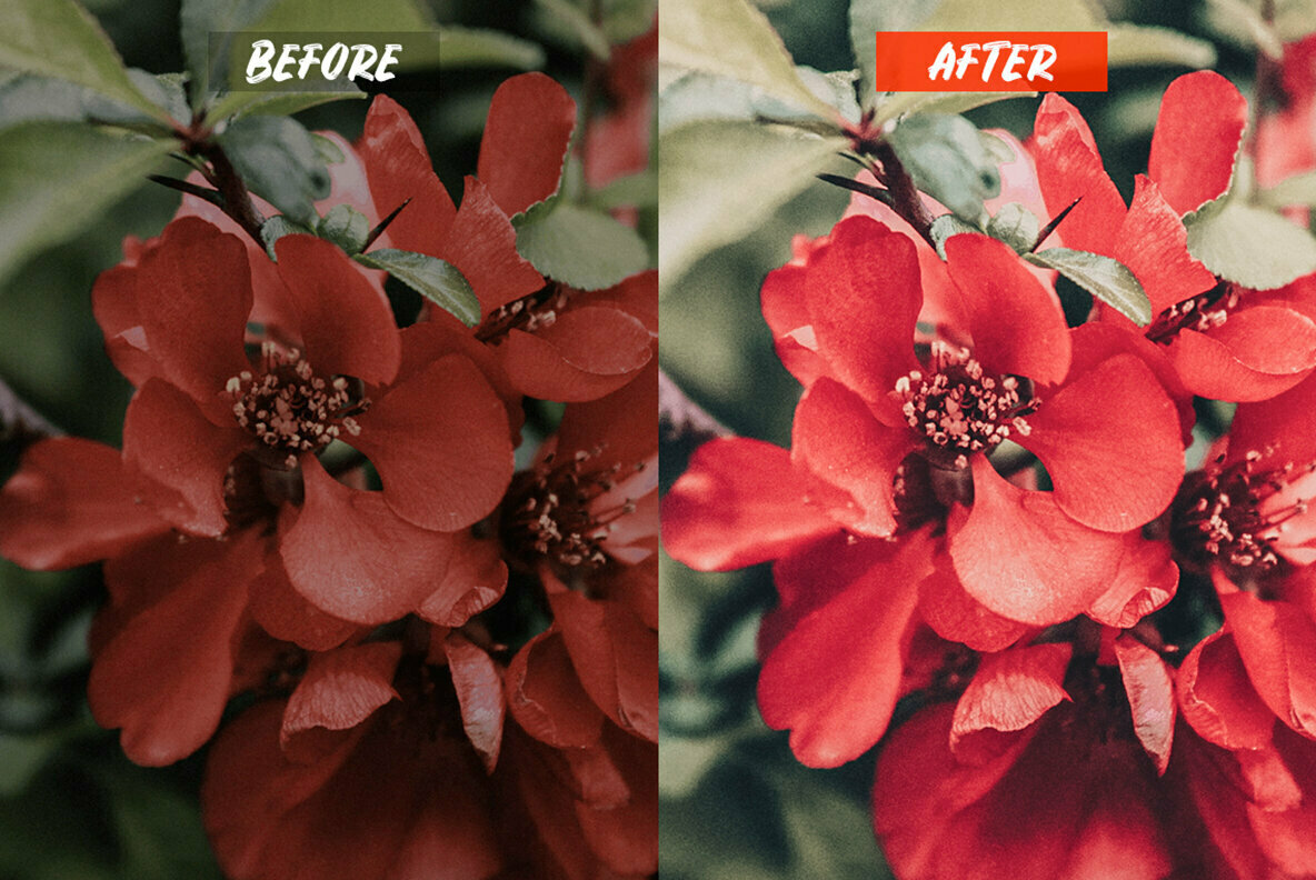 Passion Lightroom Presets Passion Lightroom Presets