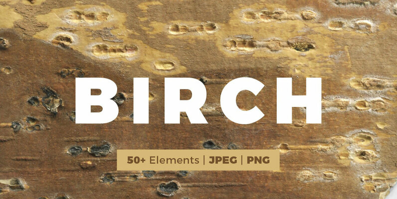 Birch Barks and Twigs Texture Kit