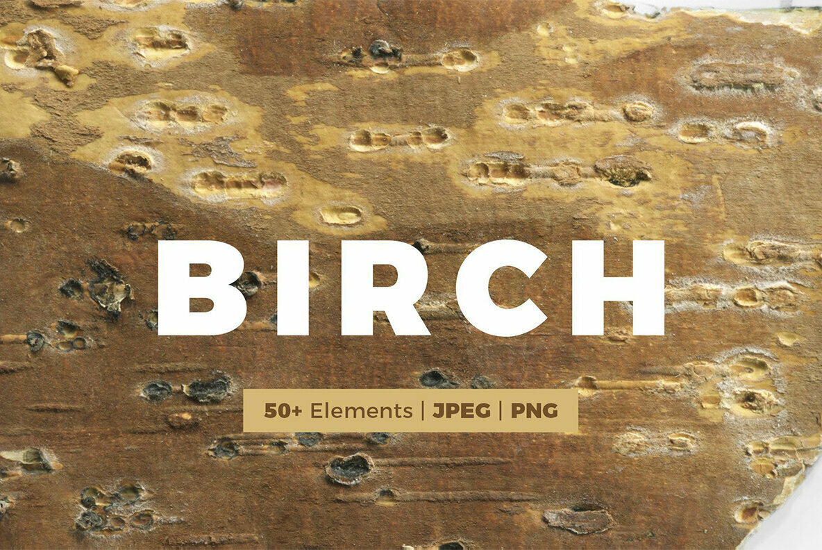 Birch Barks and Twigs Texture Kit 1