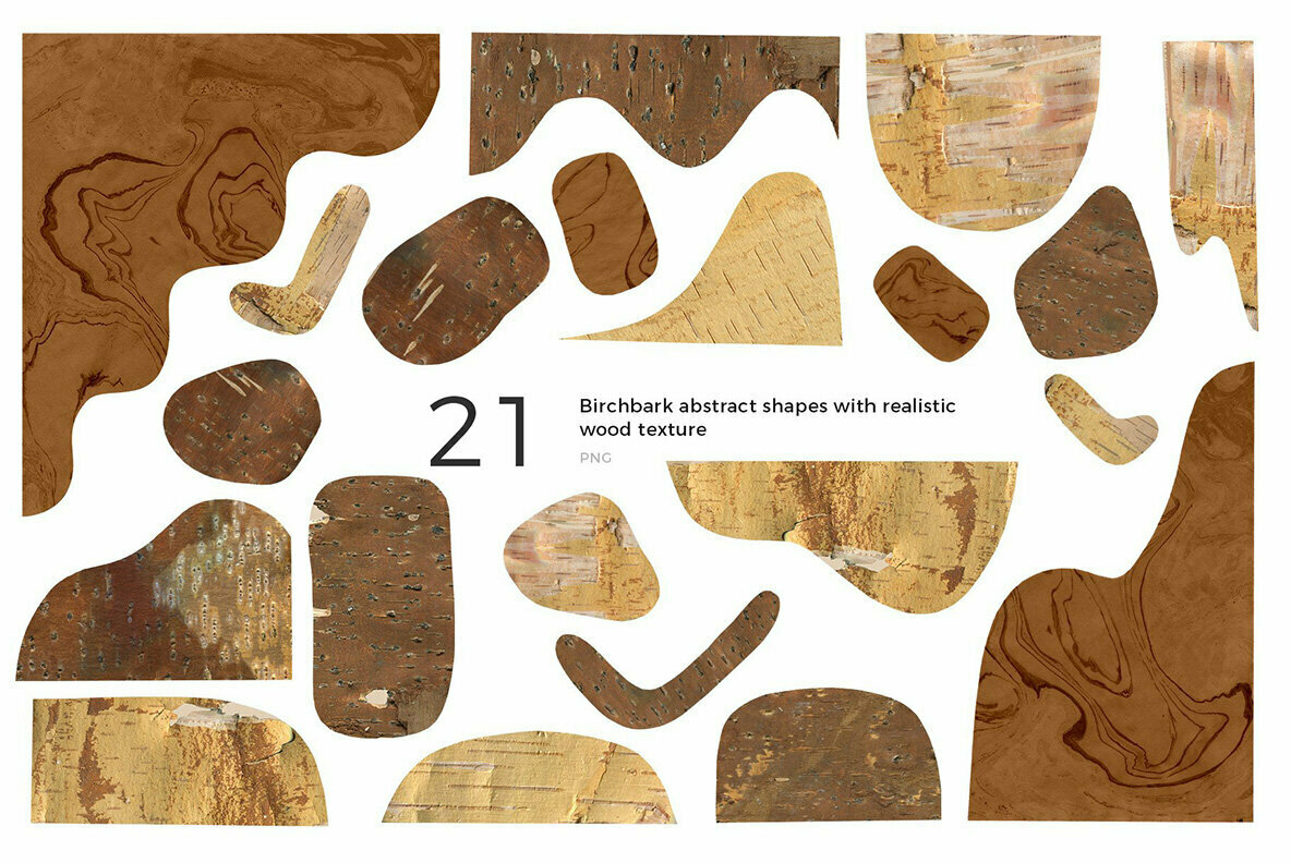 Birch Barks and Twigs Texture Kit 2