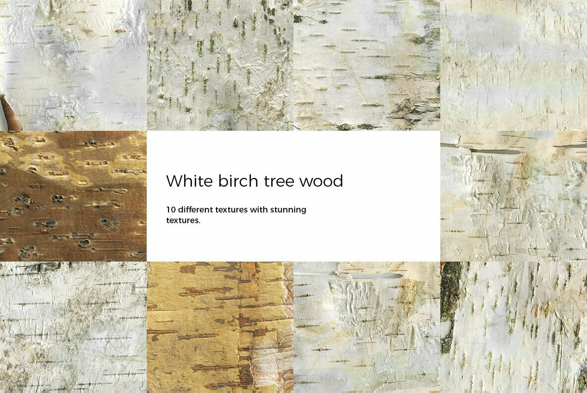 Birch Barks and Twigs Texture Kit 3