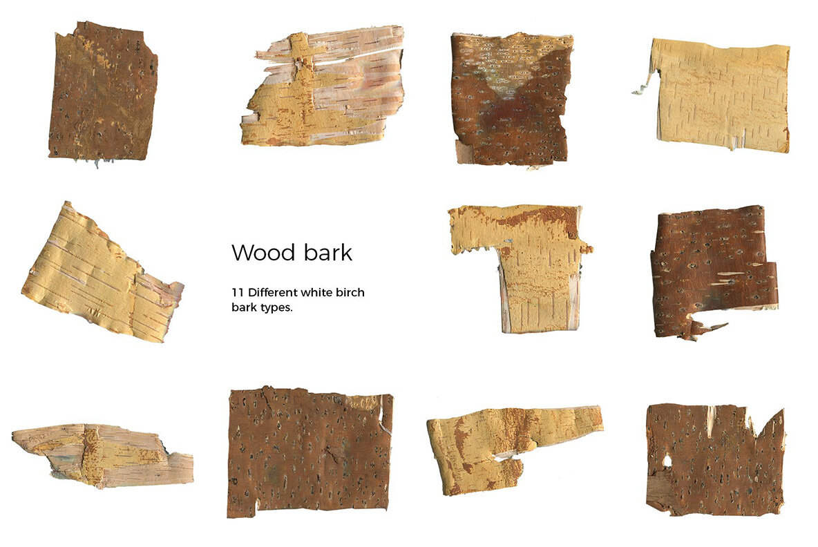 Birch Barks and Twigs Texture Kit 7