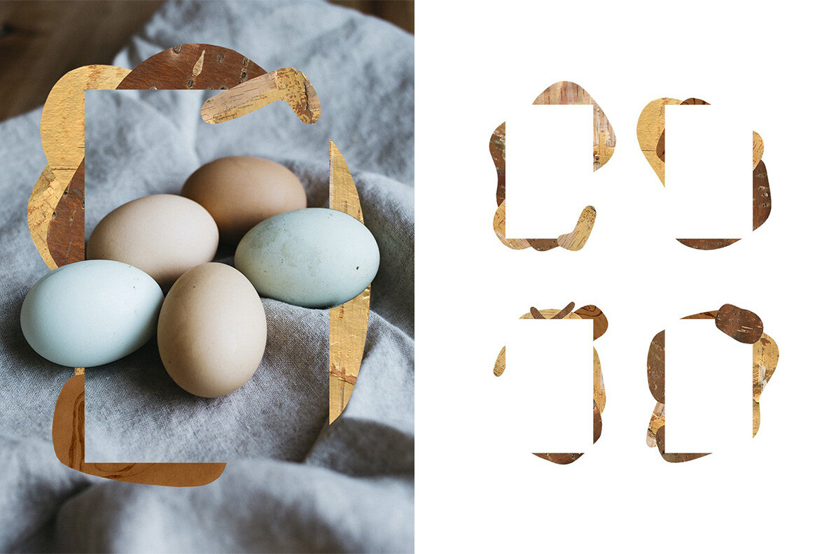 Birch Barks and Twigs Texture Kit 10